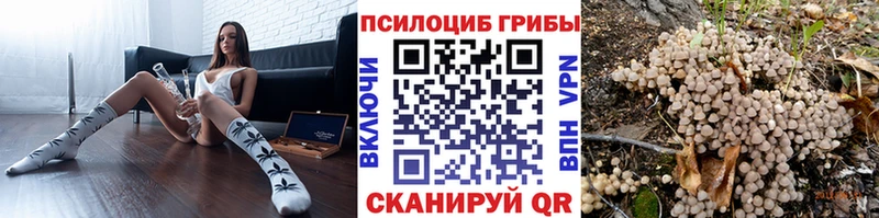 Псилоцибиновые грибы мицелий  Купить  Глазов 